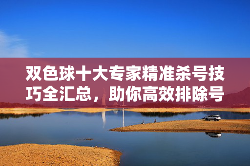 双色球十大专家精准杀号技巧全汇总，助你高效排除号码，提升中奖概率，双色球十大专家精准杀号技巧全汇总，高效排除号码，提升中奖概率