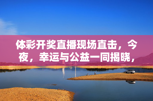 体彩开奖直播现场直击，今夜，幸运与公益一同揭晓，体彩开奖直播，幸运与公益一同揭晓