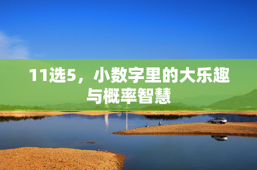 11选5，小数字里的大乐趣与概率智慧