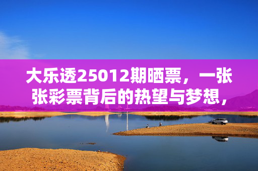 大乐透25012期晒票，一张张彩票背后的热望与梦想，大乐透25012期晒票，彩票里的热望与梦想