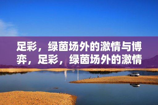 足彩，绿茵场外的激情与博弈，足彩，绿茵场外的激情博弈