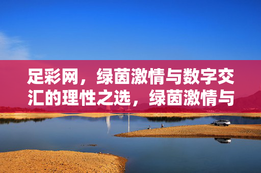 足彩网,绿茵激情与数字交汇的理性之选,绿茵激情与数字交汇,足彩网的理性之选