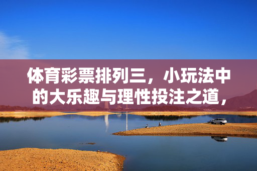 体育彩票排列三，小玩法中的大乐趣与理性投注之道，排列三，小玩法中的大乐趣与理性投注之道