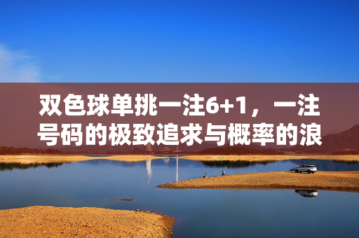双色球单挑一注6+1，一注号码的极致追求与概率的浪漫，双色球单挑一注6+1，极致追求与概率的浪漫