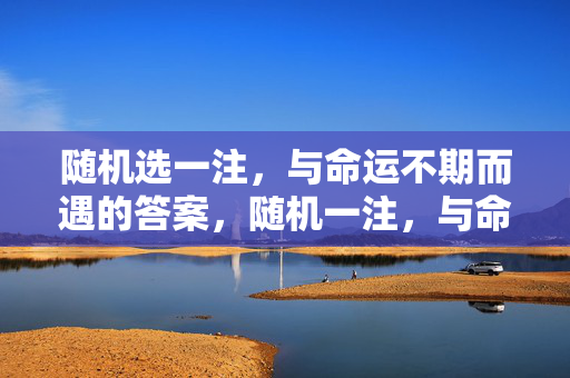随机选一注，与命运不期而遇的答案，随机一注，与命运不期而遇的答案
