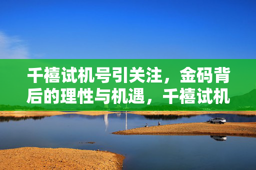 千禧试机号引关注，金码背后的理性与机遇，千禧试机号，金码背后的理性与机遇