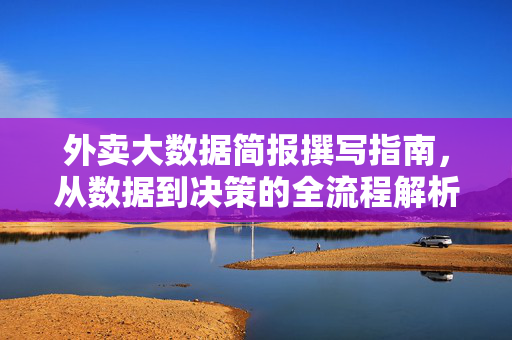 外卖大数据简报撰写指南，从数据到决策的全流程解析，外卖大数据简报撰写，从数据到决策全流程指南