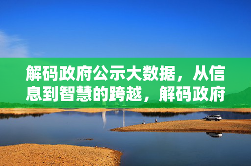 解码政府公示大数据，从信息到智慧的跨越，解码政府公示大数据，从信息到智慧的跨越