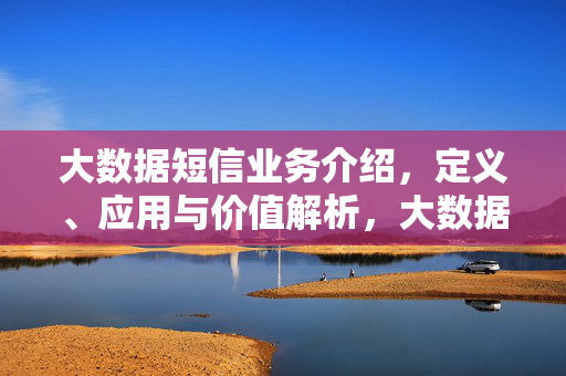大数据短信业务介绍，定义、应用与价值解析，大数据短信业务的定义、应用与价值解析