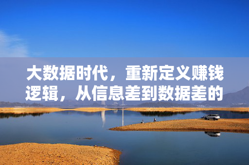 大数据时代，重新定义赚钱逻辑，从信息差到数据差的价值跃迁，大数据时代，信息差到数据差的赚钱逻辑跃迁