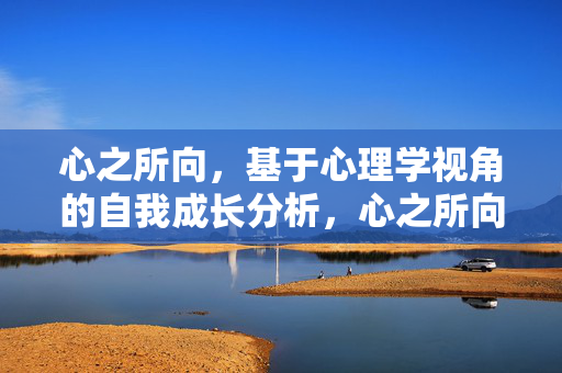 心之所向，基于心理学视角的自我成长分析，心之所向，心理学视角的自我成长分析