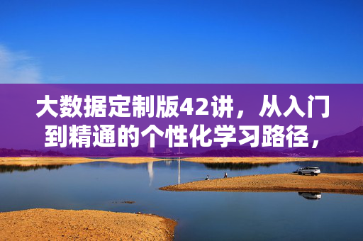 大数据定制版42讲，从入门到精通的个性化学习路径，大数据定制版42讲，从入门到精通的个性化学习路径