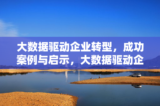 大数据驱动企业转型，成功案例与启示，大数据驱动企业转型，成功案例与启示