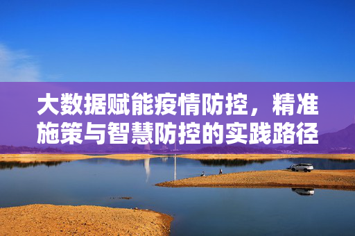 大数据赋能疫情防控，精准施策与智慧防控的实践路径，大数据赋能疫情防控，精准施策与智慧防控的实践路径