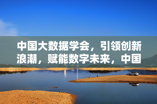 中国大数据学会，引领创新浪潮，赋能数字未来，中国大数据学会，引领创新浪潮，赋能数字未来