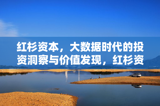 红杉资本，大数据时代的投资洞察与价值发现，红杉资本，大数据时代的投资洞察与价值发现