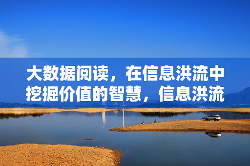 大数据阅读，在信息洪流中挖掘价值的智慧，信息洪流中的大数据阅读智慧