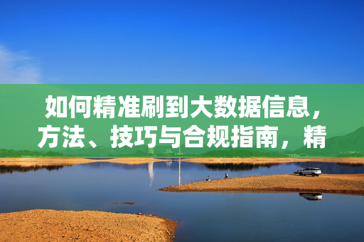 如何精准刷到大数据信息，方法、技巧与合规指南，精准获取大数据信息，方法、技巧与合规指南
