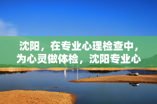 沈阳，在专业心理检查中，为心灵做体检，沈阳专业心理检查，为心灵做体检