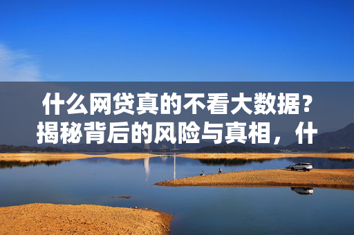 什么网贷真的不看大数据？揭秘背后的风险与真相，什么网贷真的不看大数据？揭秘背后的风险与真相