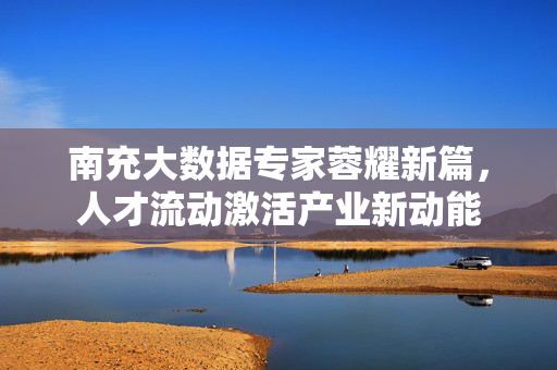 南充大数据专家蓉耀新篇，人才流动激活产业新动能