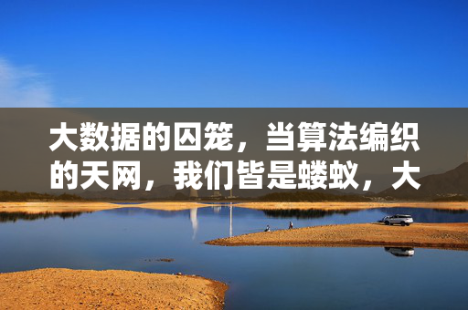 大数据的囚笼，当算法编织的天网，我们皆是蝼蚁，大数据囚笼，算法天网，我们皆是蝼蚁