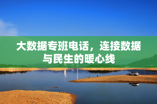 大数据专班电话，连接数据与民生的暖心线