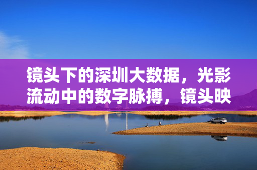 镜头下的深圳大数据，光影流动中的数字脉搏，镜头映深圳，光影流转的数据脉动