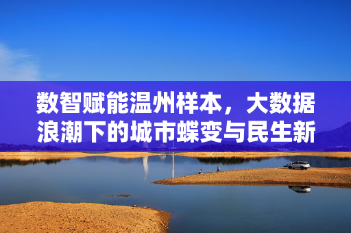 数智赋能温州样本，大数据浪潮下的城市蝶变与民生新篇，数智赋能温州样本，城市蝶变与民生新篇