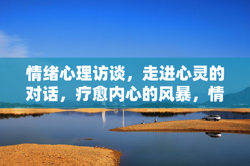 情绪心理访谈，走进心灵的对话，疗愈内心的风暴，情绪心理访谈，走进心灵对话，疗愈内心风暴