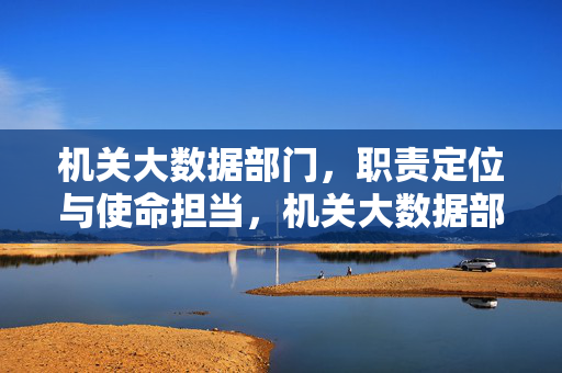 机关大数据部门，职责定位与使命担当，机关大数据部门的职责定位与使命担当