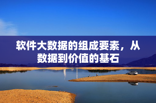 软件大数据的组成要素，从数据到价值的基石