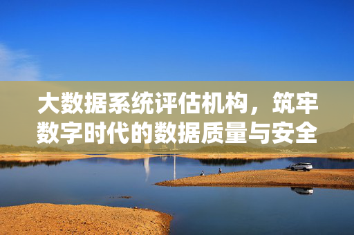 大数据系统评估机构，筑牢数字时代的数据质量与安全基石，大数据系统评估机构，筑牢数字时代数据质量与安全基石