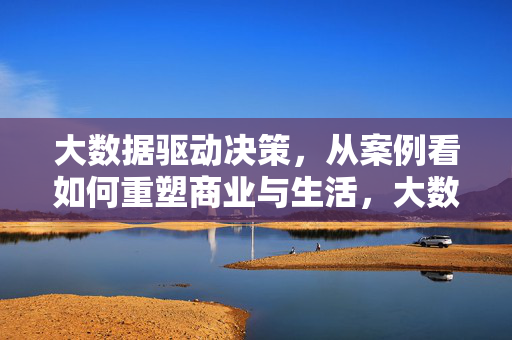大数据驱动决策，从案例看如何重塑商业与生活，大数据驱动决策，案例视角下的商业与生活重塑
