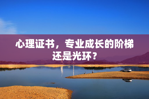 心理证书，专业成长的阶梯还是光环？