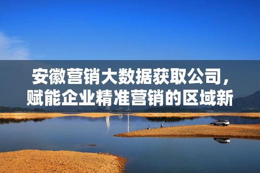 安徽营销大数据获取公司，赋能企业精准营销的区域新引擎