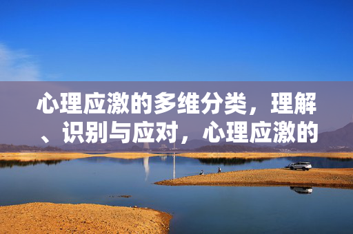 心理应激的多维分类,理解、识别与应对,心理应激的多维分类,理解、识别与应对