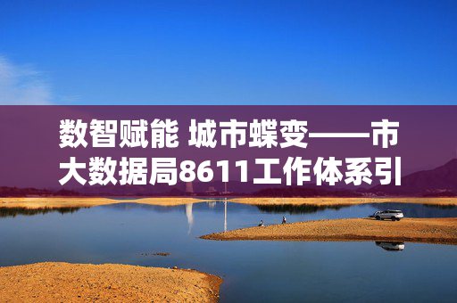 数智赋能 城市蝶变——市大数据局8611工作体系引领城市治理现代化新实践，数智赋能蝶变 市大数据局8611体系引领城市治理现代化新实践
