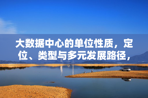 大数据中心的单位性质，定位、类型与多元发展路径，大数据中心的单位性质、定位、类型与多元发展路径