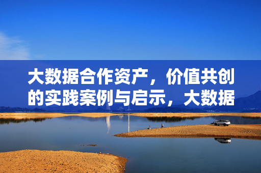 大数据合作资产，价值共创的实践案例与启示，大数据合作资产价值共创的实践案例与启示