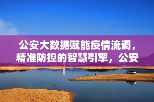 公安大数据赋能疫情流调，精准防控的智慧引擎，公安大数据，疫情流调精准防控的智慧引擎