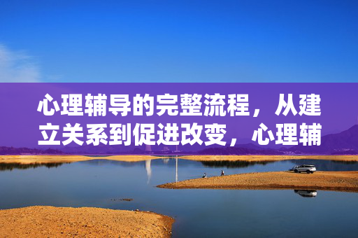 心理辅导的完整流程,从建立关系到促进改变,心理辅导完整流程,从建立关系到促进改变