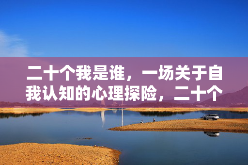 二十个我是谁，一场关于自我认知的心理探险，二十个我，一场自我认知的心理探险