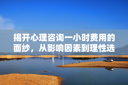 揭开心理咨询一小时费用的面纱，从影响因素到理性选择，心理咨询一小时费用，影响因素与理性选择