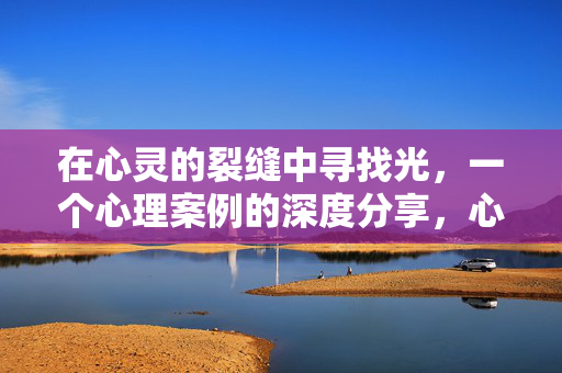 在心灵的裂缝中寻找光，一个心理案例的深度分享，心灵裂缝中的光，心理案例深度分享