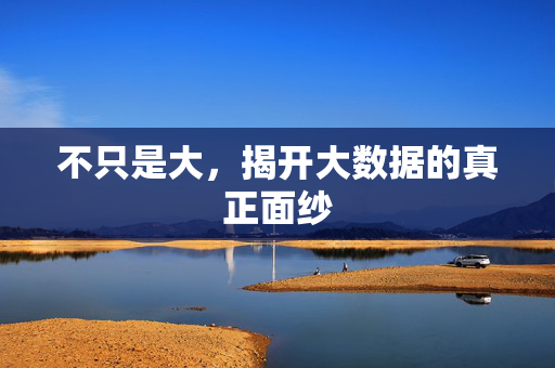 不只是大，揭开大数据的真正面纱