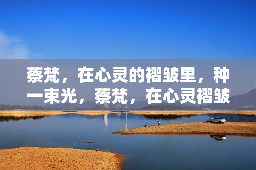 蔡梵，在心灵的褶皱里，种一束光，蔡梵，在心灵褶皱种光