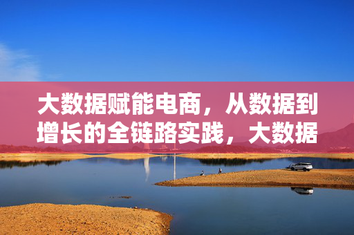 大数据赋能电商，从数据到增长的全链路实践，大数据赋能电商全链路增长实践