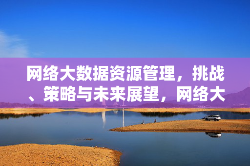 网络大数据资源管理，挑战、策略与未来展望，网络大数据资源管理，挑战、策略与未来展望