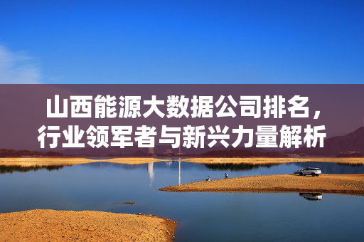 山西能源大数据公司排名，行业领军者与新兴力量解析，山西能源大数据公司排名，领军者与新兴力量解析